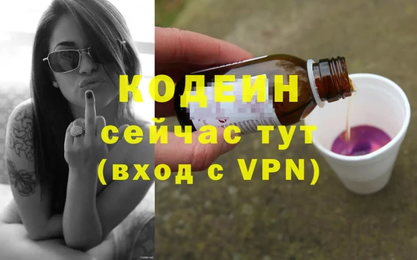 стаф Пересвет