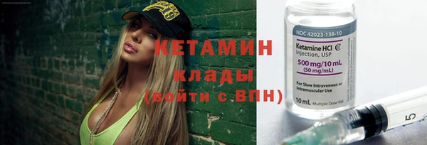стаф Пересвет