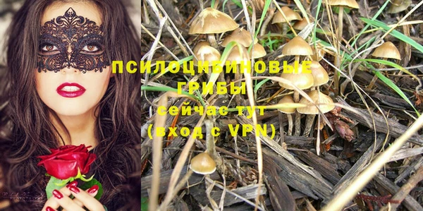 прущая мука Пестово
