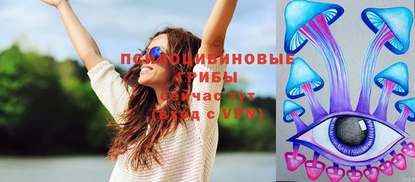 стаф Пересвет